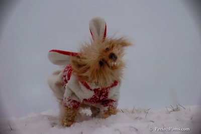 Dec13_07_318.jpg