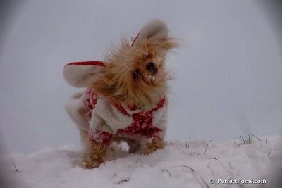 Dec13_07_319.jpg