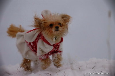 Dec13_07_323.JPG