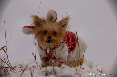 Dec13_07_324.JPG
