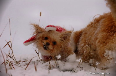 Dec13_07_327.JPG