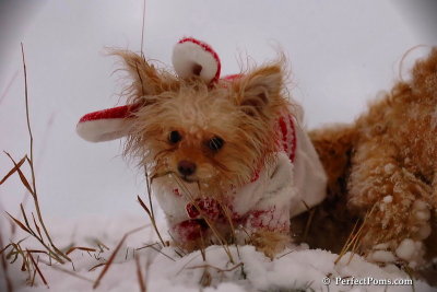 Dec13_07_328.jpg