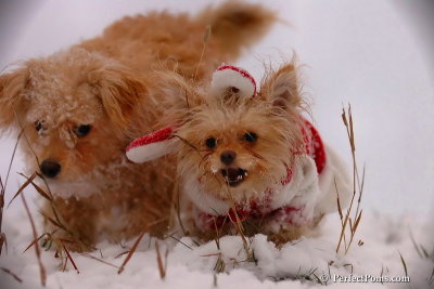 Dec13_07_330.jpg