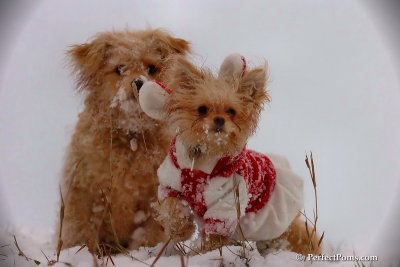 Dec13_07_333.jpg