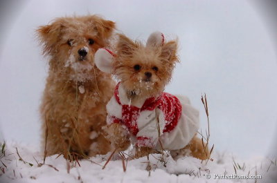 Dec13_07_334.JPG