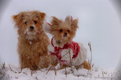 Dec13_07_335.JPG