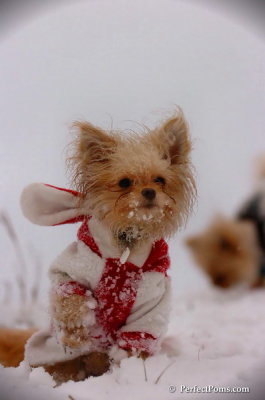 Dec13_07_338.JPG