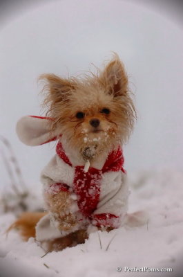 Dec13_07_339.JPG