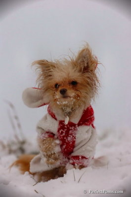 Dec13_07_340.JPG