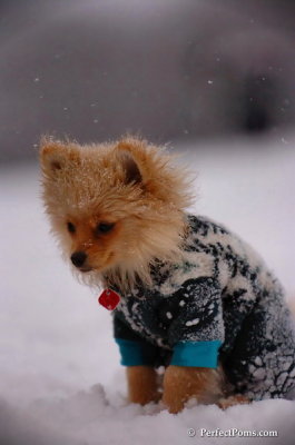 Dec13_07_348.JPG