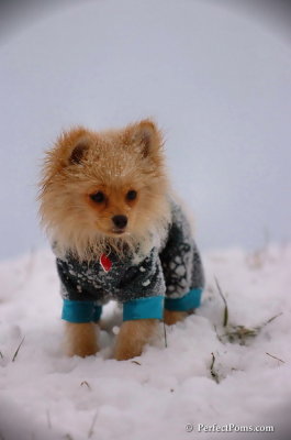 Dec13_07_350.JPG