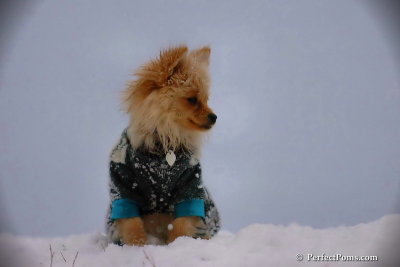 Dec13_07_353.jpg