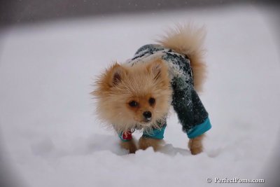 Dec13_07_167.jpg