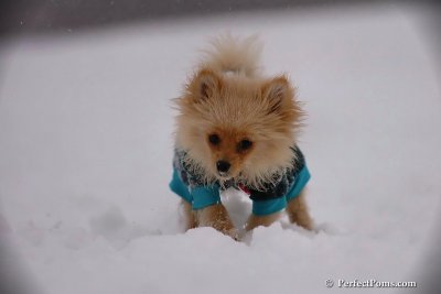 Dec13_07_168.jpg