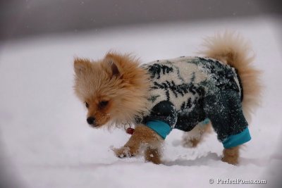 Dec13_07_171.jpg