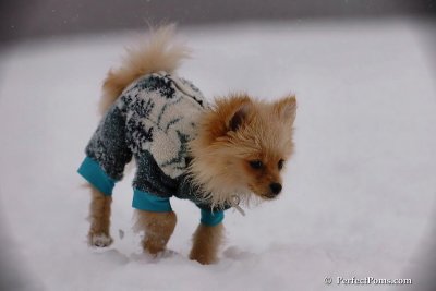 Dec13_07_175.jpg