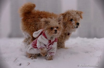 Dec13_07_176.JPG