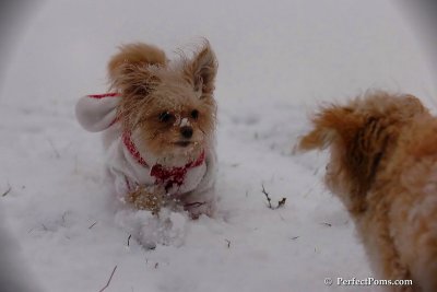 Dec13_07_185.jpg