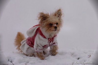 Dec13_07_196.jpg
