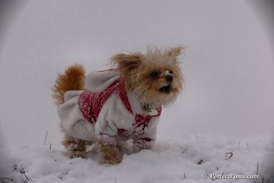 Dec13_07_198.jpg