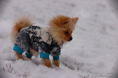 Dec13_07_201.jpg