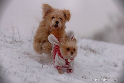 Dec13_07_202.jpg