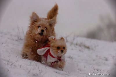 Dec13_07_203.jpg