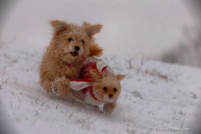 Dec13_07_204.jpg