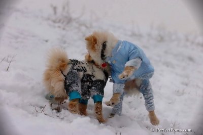Dec13_07_207.jpg