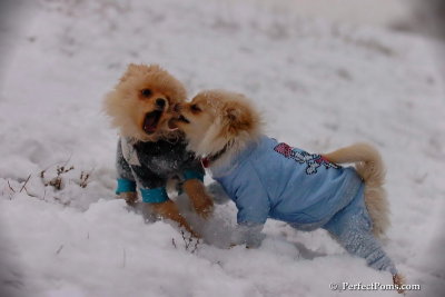 Dec13_07_208.jpg