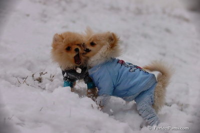 Dec13_07_209.jpg
