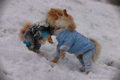 Dec13_07_212.jpg