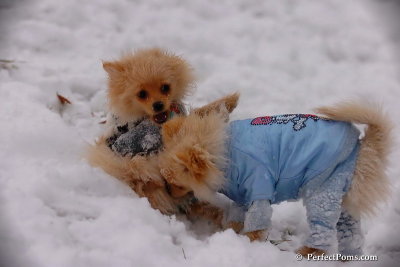 Dec13_07_217.jpg