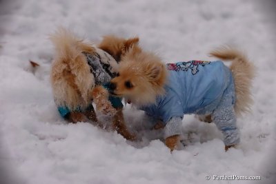Dec13_07_218.jpg