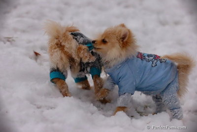 Dec13_07_219.jpg