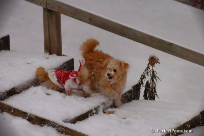 Dec13_07_235.jpg