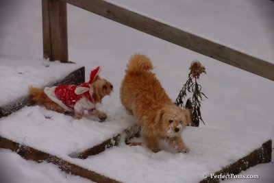 Dec13_07_236.jpg