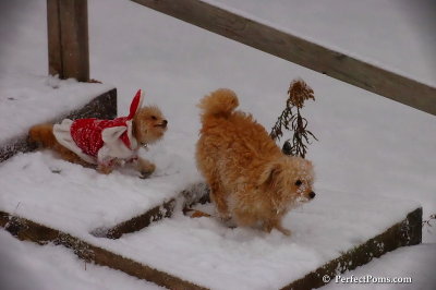 Dec13_07_237.jpg