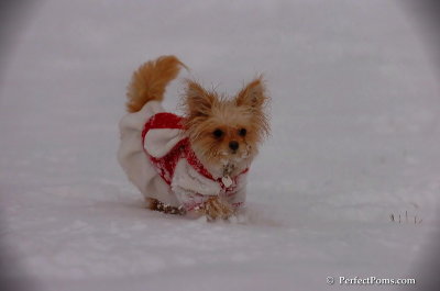 Dec13_07_240.JPG