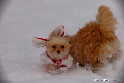 Dec13_07_242.jpg