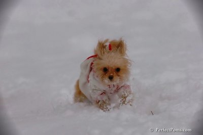 Dec13_07_244.jpg