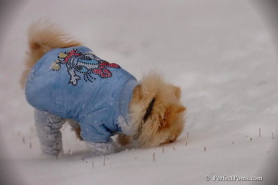 Dec13_07_245.jpg