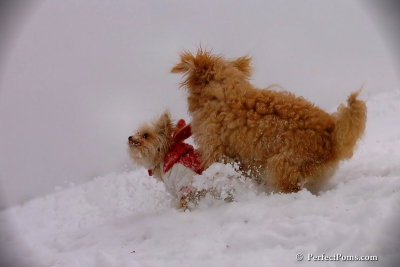 Dec13_07_247.jpg