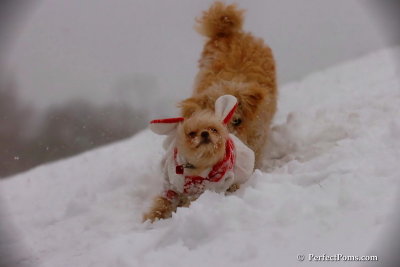 Dec13_07_250.jpg