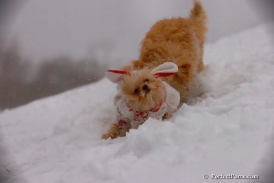 Dec13_07_251.jpg