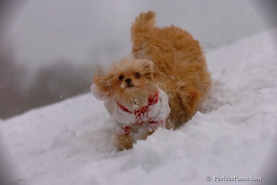 Dec13_07_255.jpg