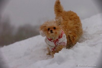 Dec13_07_256.jpg