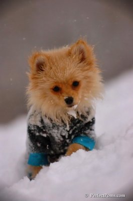 Dec13_07_258.JPG