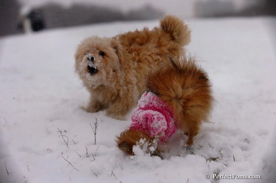 Dec13_07_047.JPG