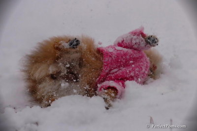 Dec13_07_049.jpg